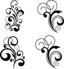 Elegant floral design with botanical elements and decorative accents