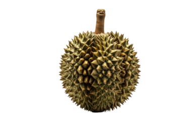 Whole formidable, spiky durian fruit, mottled green-brown, isolated on transparent background with copy space, dramatic studio lighting, exotic culinary exploration