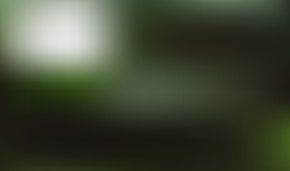 Soft focus bokeh background of lush green foliage with subtle light highlights