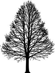 Obraz premium black tree silhouette a timeless symbol of resilience, strength, and silent endurance, isolated on transparent background