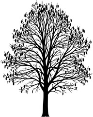 Obraz premium black tree silhouette natures timeless elegance, a symbol of resilience and quiet strength, isolated on transparent background