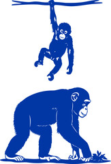 Obraz premium cobalt blue chimpanzee duo playful swing, ground foraging, and unbreakable bond, isolated on transparent background