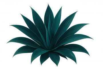 Vivid agave succulent highlighting botanical beauty, representing arid ecosystem with clean white backdrop