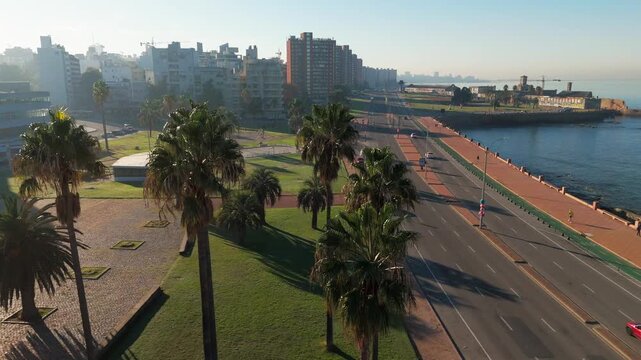 Aerial view of Palm trees line Rambla Gran Bretana beside the sea and city buildings in Montevideo