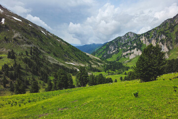 Obraz premium Distant sunny mountain valley. Summertime.