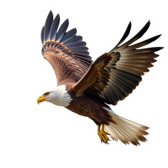 Obraz premium Majestic bird soaring with wings spread, brown feather, white head, yellow beak, powerful, wild, freedom