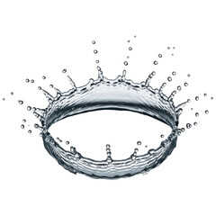 Water Crown Splash Isolated Transparent PNG