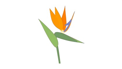 A vibrant, stylized bird of paradise flower displays bold orange and green hues against a plain white background.