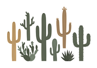 Diverse collection of desert succulents and cacti under the bright sun