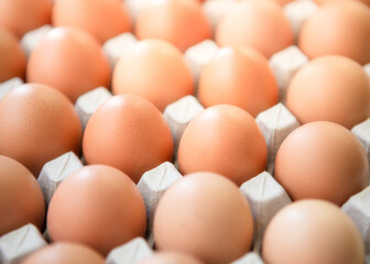 Farm fresh eggs in the cardboard package 