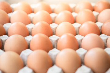 Farm fresh eggs in the cardboard package 
