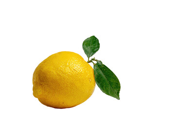 Single lemon with leaves (1)