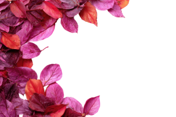 Autumn leaves frame on black background