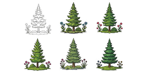 Pine tree illustration set, seasonal forest elements, botanical foliage variations, nature clipart bundle, hand-drawn and colored vector trees with plants