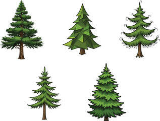Pine tree vector set, evergreen conifer illustrations with detailed green needles and brown trunks, perfect for nature, forest, and Christmas designs