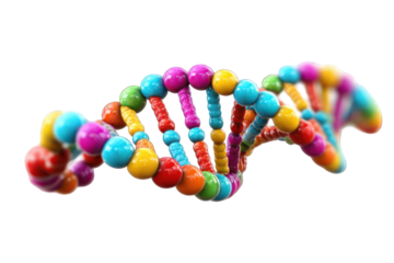 Colorful DNA double helix