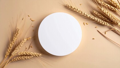 Blank circle, wheat stalks, beige background