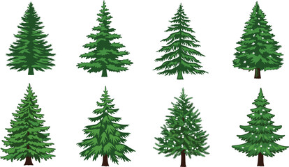 Pine tree vector set, hand-drawn evergreen conifer illustrations, perfect for Christmas design, nature projects, forest themes, holiday cards, and seasonal decorations