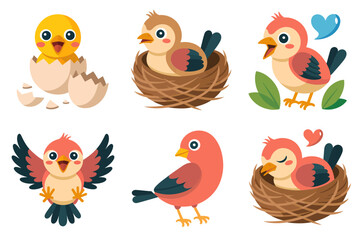 Bird nest and twig vector illustrations, nest textures, eggs in straw, mother bird feeding chicks, natural habitat graphics