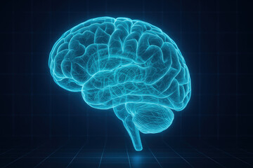 Human Brain Illustration - Medical Visualization, Digital Art [Illustration]