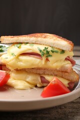 Delicious sandwiches with melted cheese, ham and tomatoes on wooden table, closeup