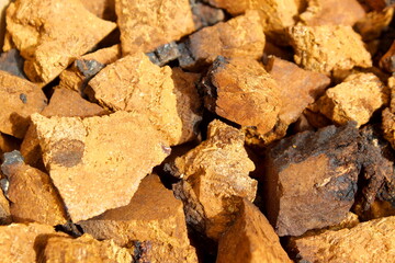 Texture of many pieces of birch chaga.