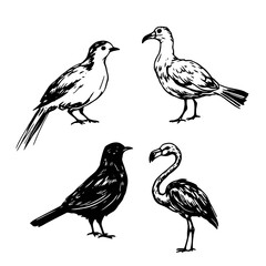 Fototapeta premium A charming vector cartoon illustration of a cute set of colorful birds on a branch, perfect for nature and animal designs