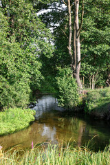 Naklejka premium Green grass and trees growing alongside river in countryside