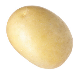 One whole ripe potato isolated on white