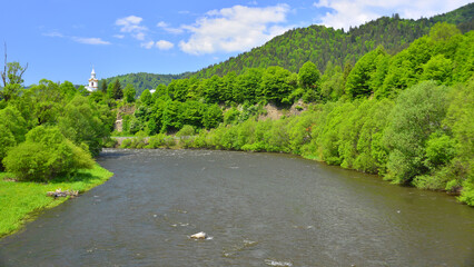 The Mures River in Transylvania, flowing through raw greenery.
