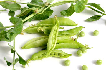 Green pea pods with leaves lie on a white background.