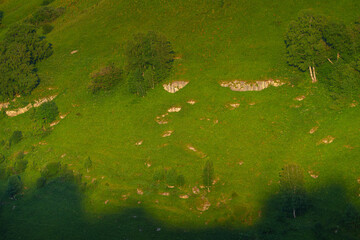 A panoramic aerial view of the Berezovsky gorge covered with dense vegetation, at daytime, without people, Kislovodsk, Stavropol Krai, Russia