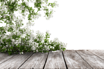 Wooden tabletop with flowering bushes