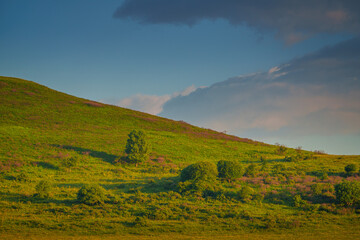 A panoramic aerial view of the Berezovsky gorge covered with dense vegetation, at daytime, without people, Kislovodsk, Stavropol Krai, Russia
