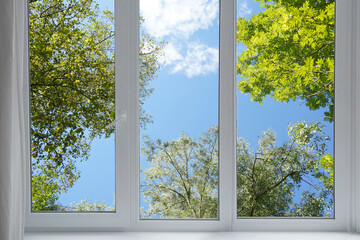View from the window on the park, garden green trees.