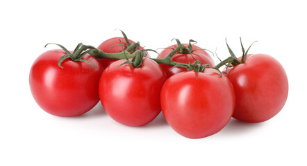 Many ripe red tomatoes isolated on white