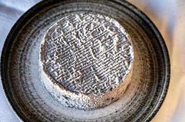 French goat cheese selles-sur-cher, France, cheese tasting