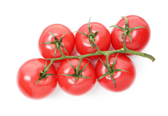 Branch of ripe red tomatoes isolated on white, top view