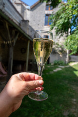 Obraz premium Drinking of sparkling white wine with bubbles champagne in sunny garden in old French village in Cote des Bar, Champagne region, France in summer