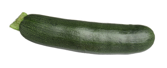 One fresh ripe zucchini isolated on white