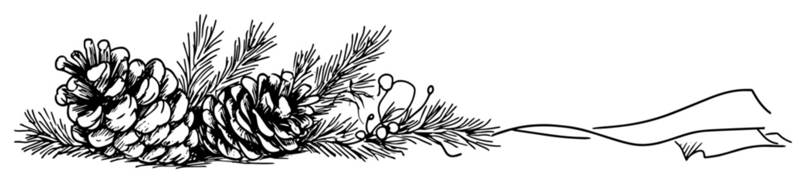 christmas outline border with pinecones branches and ribbon