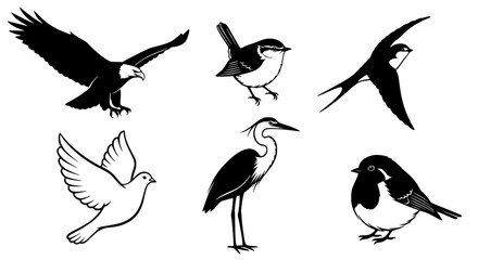 Obraz premium Illustrative silhouettes of diverse bird species, each uniquely capturing the essence of avian forms, and graceful beauty of the flying. vector illustration