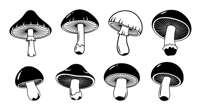 A collection of intricately illustrated mushroom illustrations, each showcasing unique shapes and details, perfect for a touch of nature's elegance. vector illustration