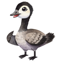 Hand drawn watercolor illustration of a Canada goose, isolated on a transparent background