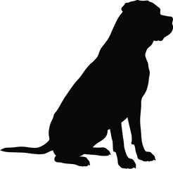 Loyal staffordshire bull terrier silhouette sitting obediently profile view vector
