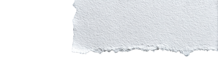 A ragged, off-white paper tear