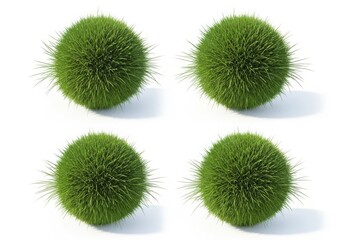 Obraz premium Four green moss balls isolated on white background