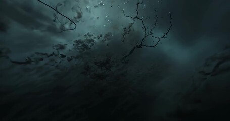 Branch and root tangle entering frame causing camera panning underwater with reflective particles - Powered by Adobe