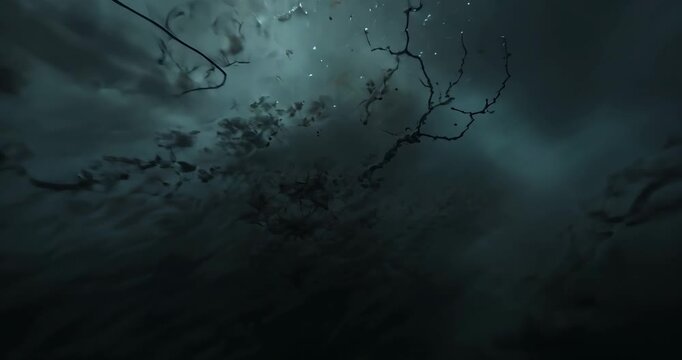 Branch and root tangle entering frame causing camera panning underwater with reflective particles