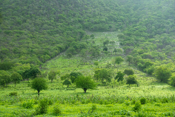 Cuautitl&aacute;n de Garc&iacute;a Barrag&aacute;n